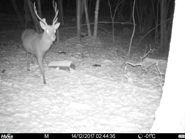 三重県｜林業研究所：ICTを活用して森林内でニホンジカを効率的に捕獲する