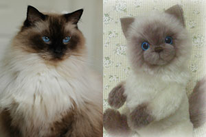 今月のピックアップアーティスト たけしま さおり | テディベア 手作り