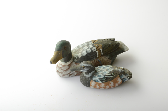 鴨用デコイの役割と基本知識｜初心者でも成果が出る設置と選び方のコツ