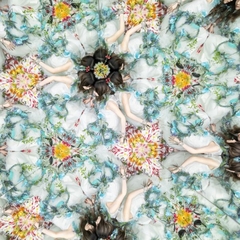 DAWN | Aimer | ソニーミュージックオフィシャルサイト