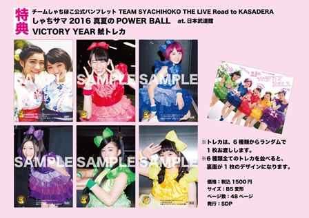 チームしゃちほこ公式パンフレット TEAM SYACHIHOKO THE LIVE Road to