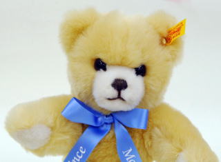 シュタイフショップ ギンザ テディベア シュタイフ 販売 ショップ 株式