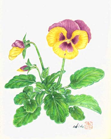 季節の花 春 1 ボタニカルアート