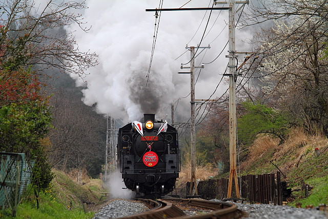 蒸気機関車 C58 359 ナンバープレート 実寸大レプリカ 蒸気機関車 C58