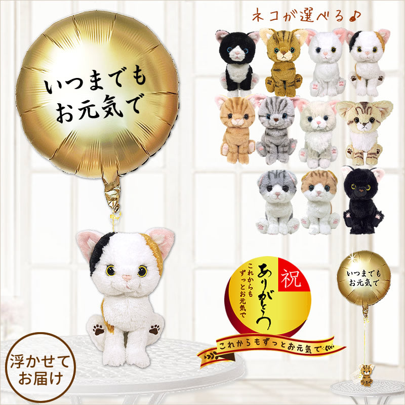 敬老の日 ギフト 還暦 古希 喜寿 傘寿 米寿 長寿 ぬいぐるみ 猫好き 白
