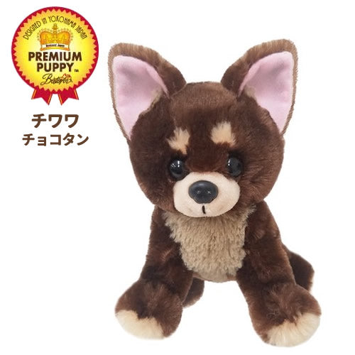 アーティスト　テディベア　チワワ　チョコタン　福寿 桜とむぎ🐶🌸 . . . . #チワワ #チョコタンチワワ #チョコタン #치와와