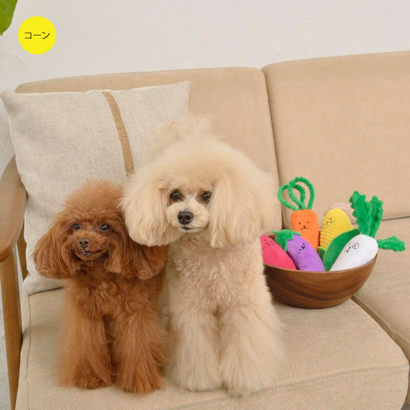 ハッピーお野菜フレンズ コーンパイセン Solgra TOY -ソルグラ トイ