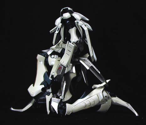 AUGE ALUUSQULL (Volks 1/100)