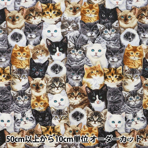 数量5から】 生地 『インクジェットプリント ねこ C8417-MULTI』 USA