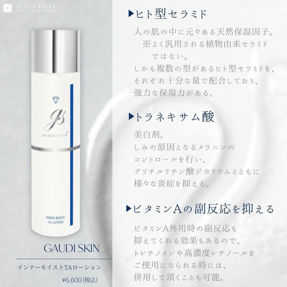 ガウディスキン インナーモイストTAローション ラージボトル 300ml
