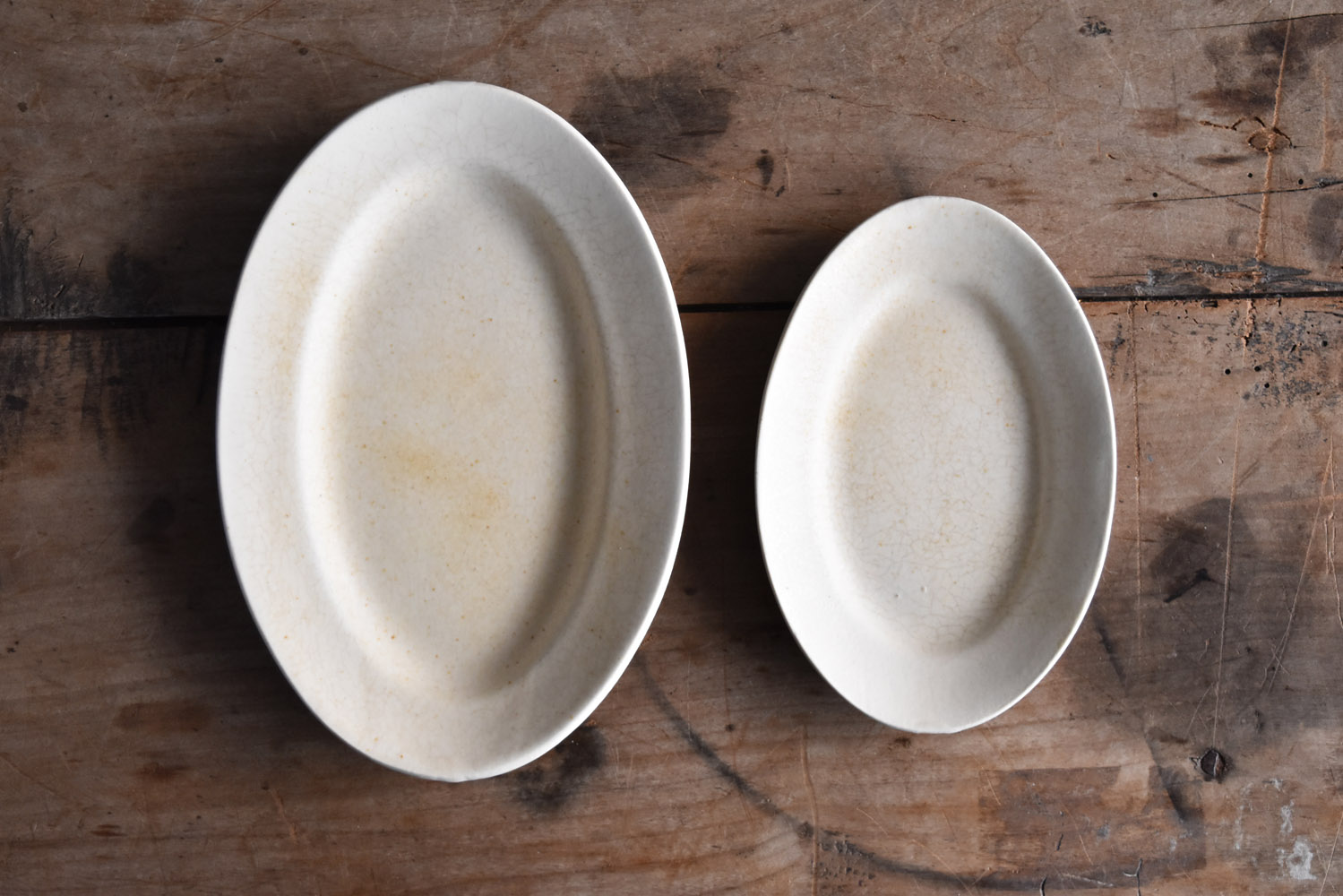 岡田直人　オランダカップ２点セット 岡田直人 / Naoto Okada