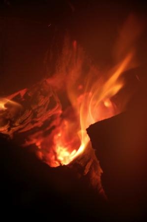 子安窯、木村芳之助 - 子安窯 木村芳之助子安窯