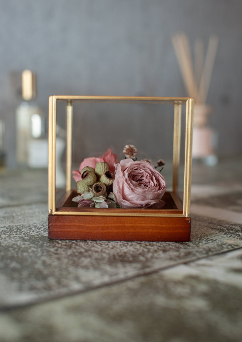 standard_preserved_008_003_120