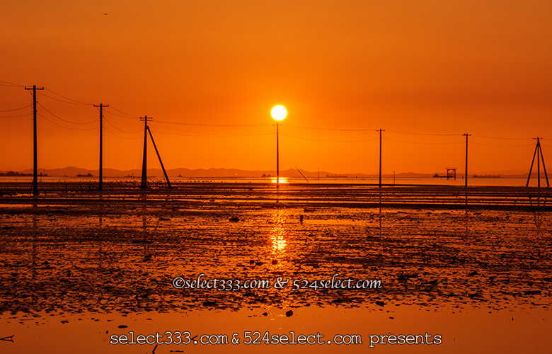 電柱が海に続く木更津の夕日〜空も海もオレンジに染まる風景
