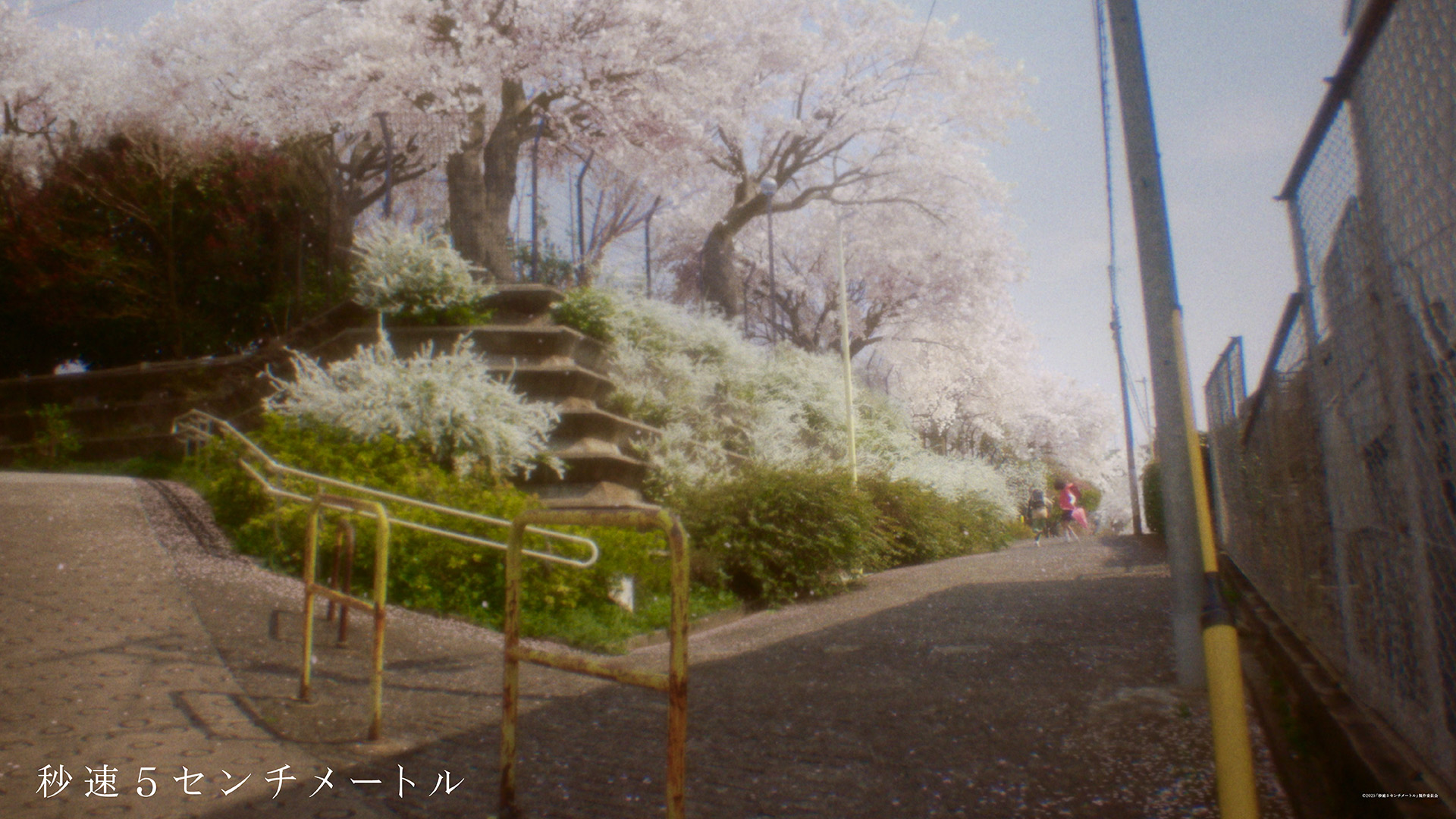 NEWS｜劇場用実写映画『秒速5センチメートル』