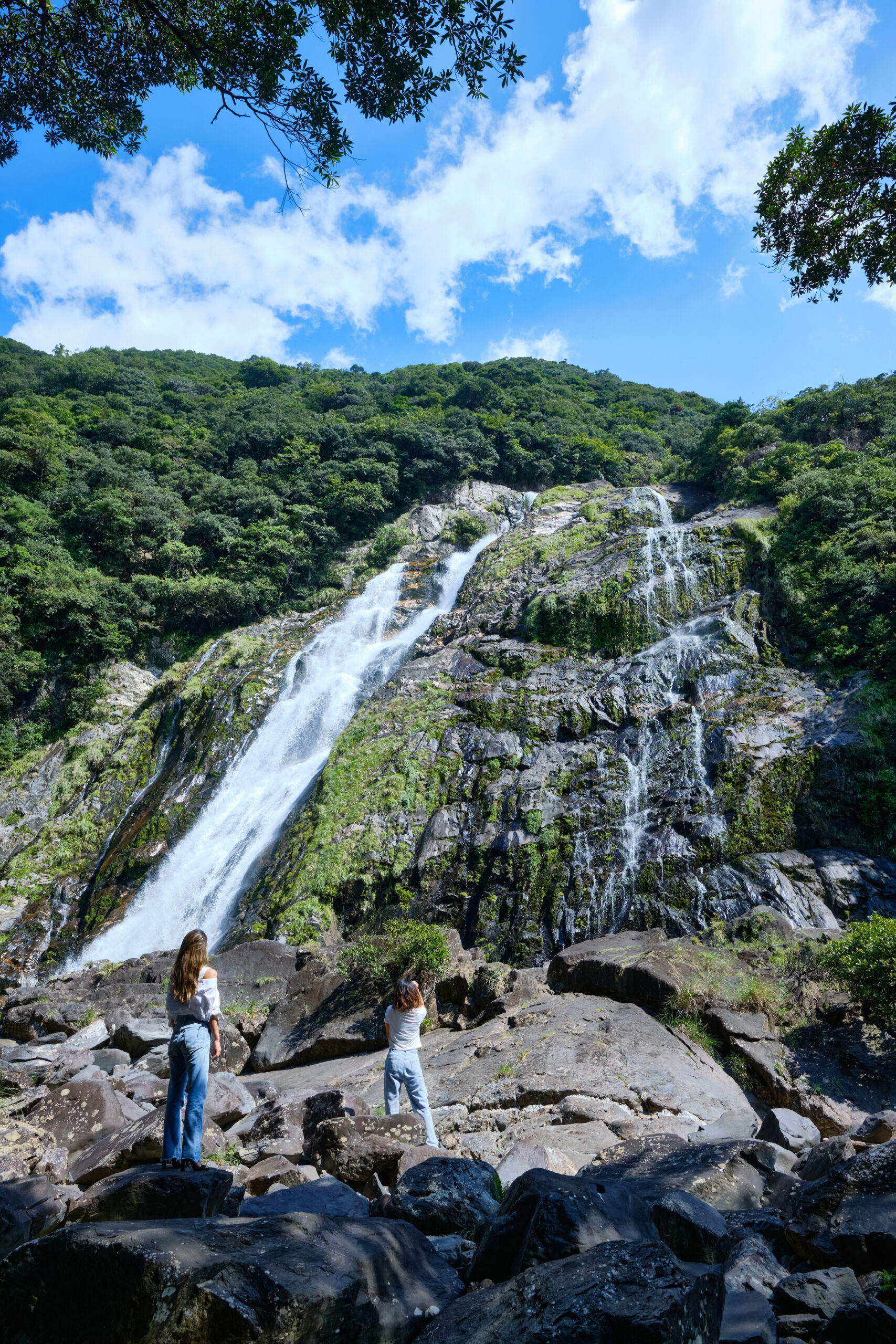 令和3年度 屋久島の新たな魅力再発見｜81plus inc.