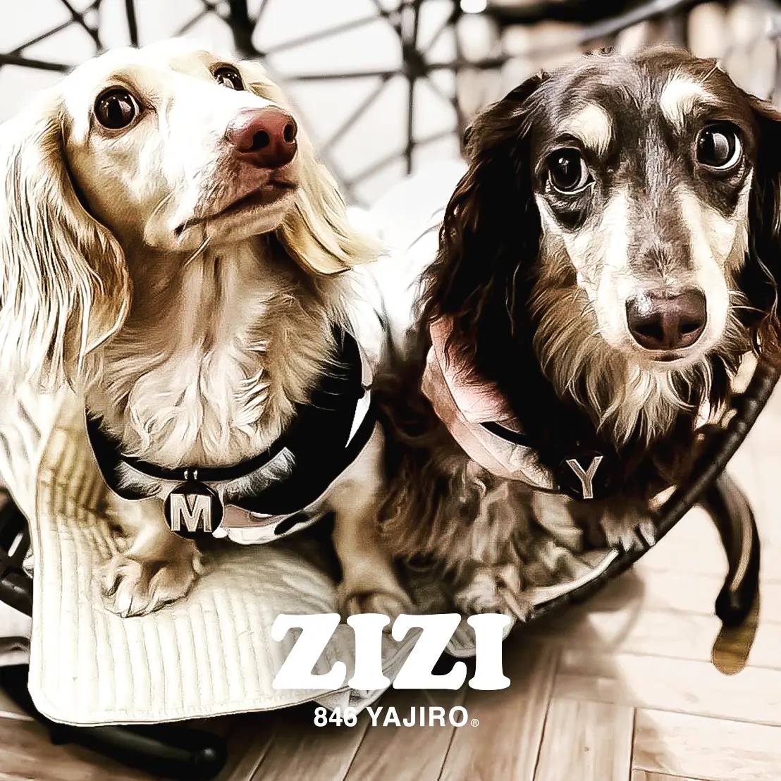 ZIZI Necklace【TOP】 – 846YAJIROオンラインショップ