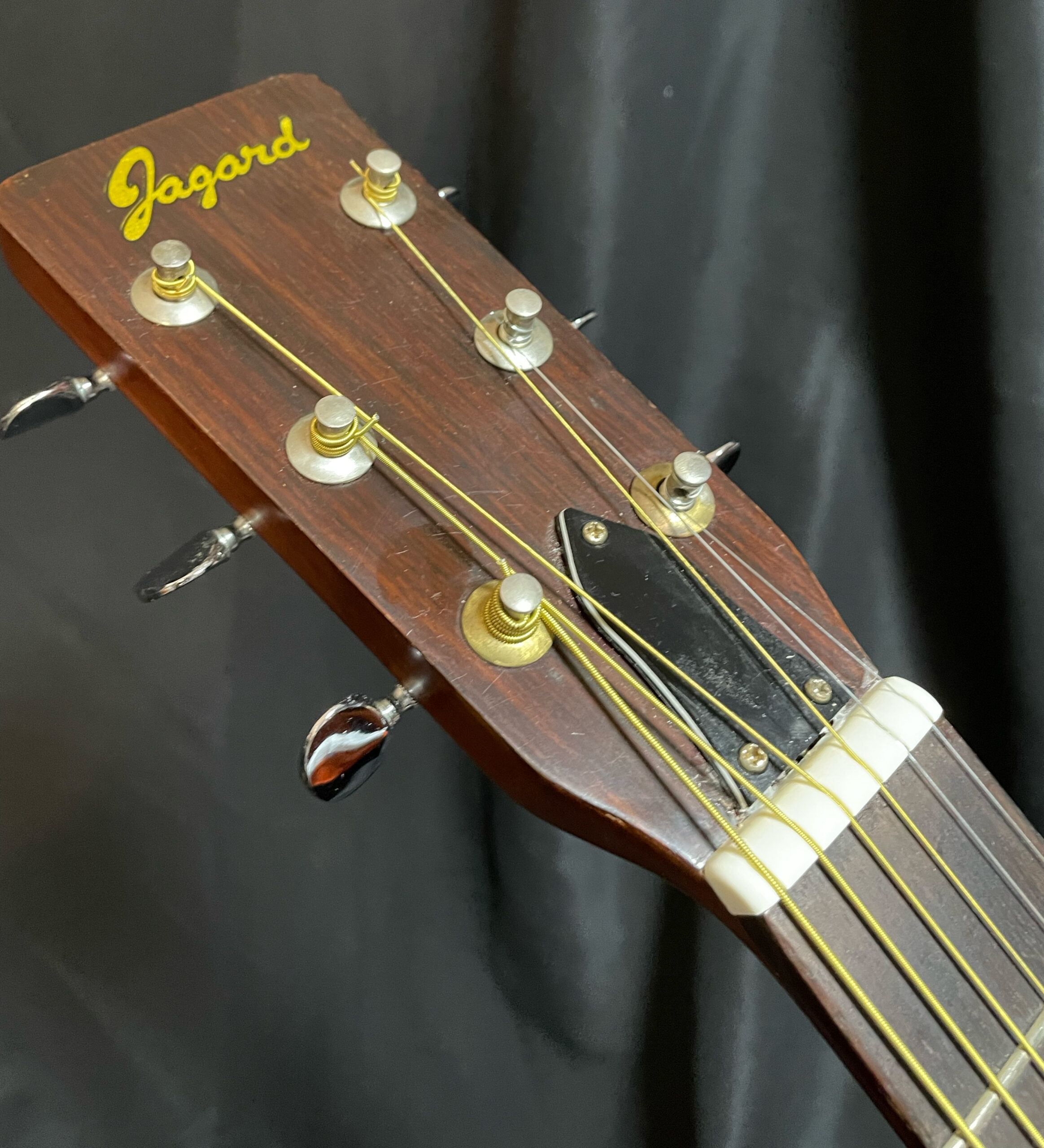 Jagard JD150 – My Guitars