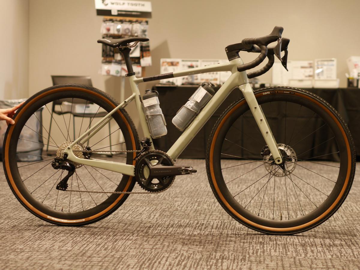 DAVOS ダボス｜D-309 NEO.SPORTIF フレームセット｜ロードバイク