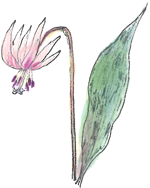 松塚裕子さん（陶磁） | 手しごとを結ぶ庭