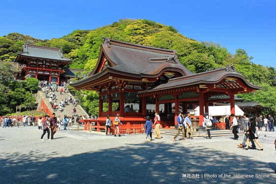 鶴岡八幡宮 鎌倉名物の見どころや歴史 | 神社の杜