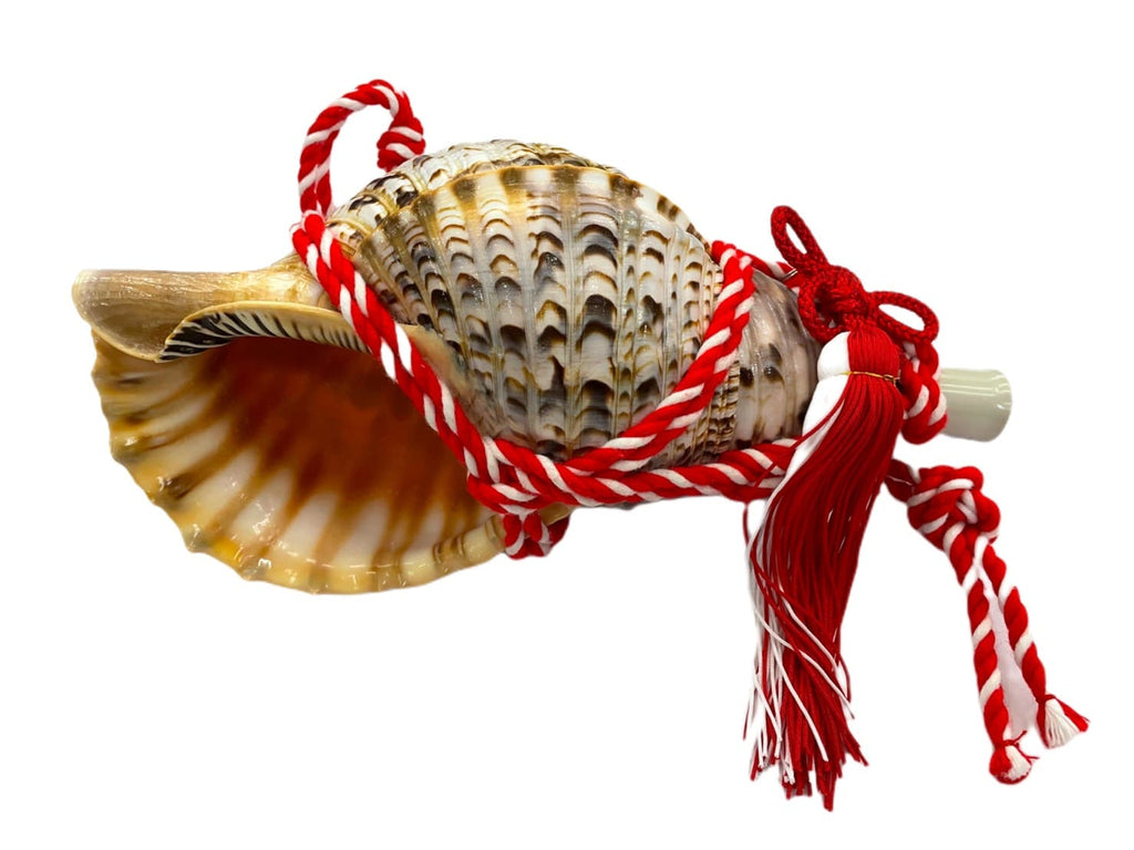 S__39518210-min_1024x.jpg?v=