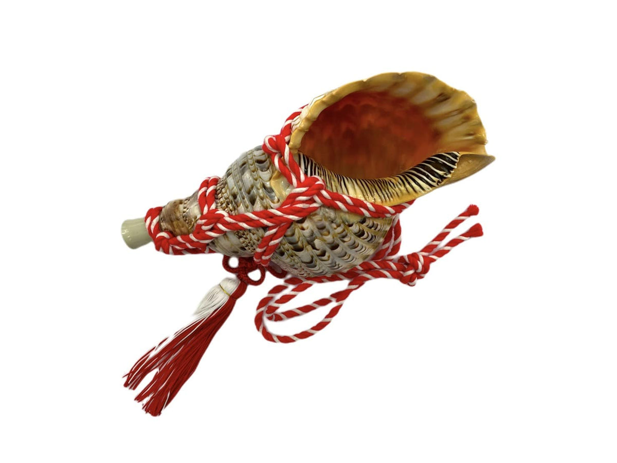 S__39518214-min_1200x.jpg?v=