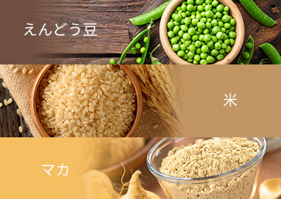 ナチュラルプロテイン VGAIN ブイゲイン 3R-VGA01 | スリーアール