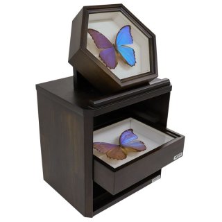 T-WOOD | 昆虫標本箱（ドイツ箱）・収納庫専門店