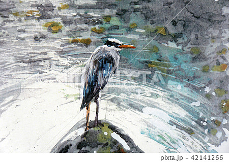 アオサギ 野鳥 清流 手書き 水彩画のイラスト素材 [42141266] - PIXTA