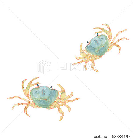 青い二匹のサワガニの水彩画のイラスト素材 [68834198] - PIXTA