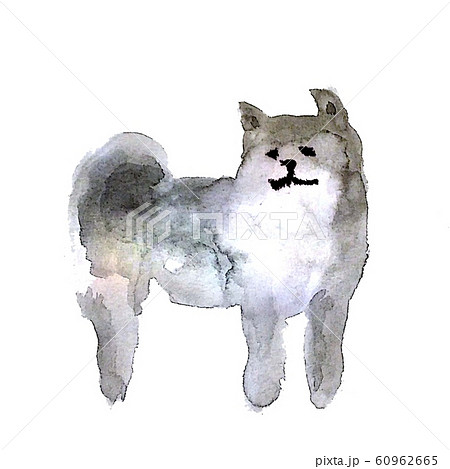 犬 水墨画のイラスト素材 [60962665] - PIXTA