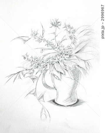 花 鉛筆画 デッサンのイラスト素材 [2996967] - PIXTA