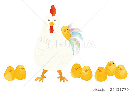 にわとりとひよこ (水彩) ニワトリ親子のイラスト素材 [24431770] - PIXTA