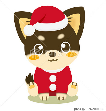 いぬっこ倶楽部 クリスマス チワワ（黒）のイラスト素材 [26200132