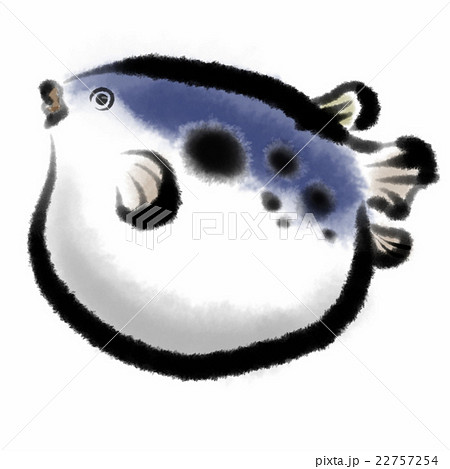 ふぐのイラスト素材 [22757254] - PIXTA