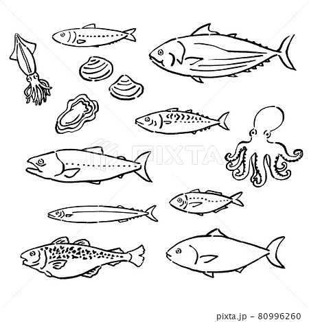 墨絵風の旬の魚のベクターイラストセットのイラスト素材 [80996260