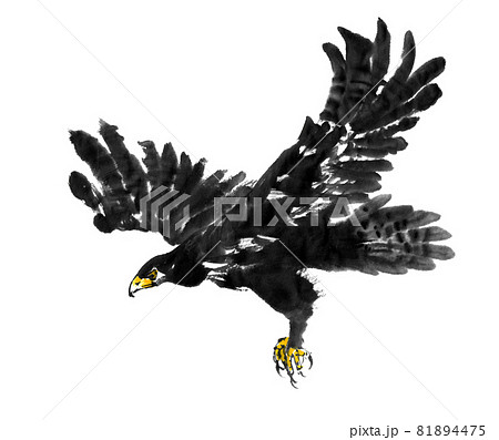 水墨画技法で描かれた飛ぶ鷲のイラスト素材 [81894475] - PIXTA