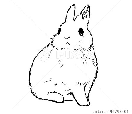 白黒手描きのスケッチ風うさぎイラストのイラスト素材 [96798401] - PIXTA