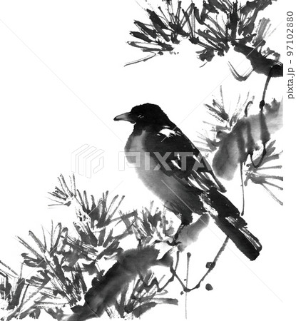 水墨画技法で描いた松と鴉の色紙手本のイラスト素材 [97102880] - PIXTA