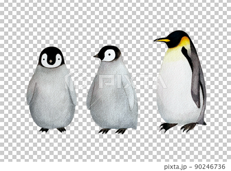 可愛いペンギンの親子の水彩画素材のイラスト素材 [90246736] - PIXTA