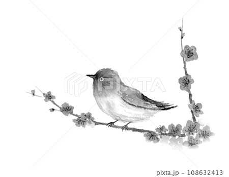 梅の枝にとまるメジロの水墨画 墨絵のイラスト素材 [108632413] - PIXTA