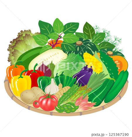 夏野菜のイラスト素材 [125367190] - PIXTA