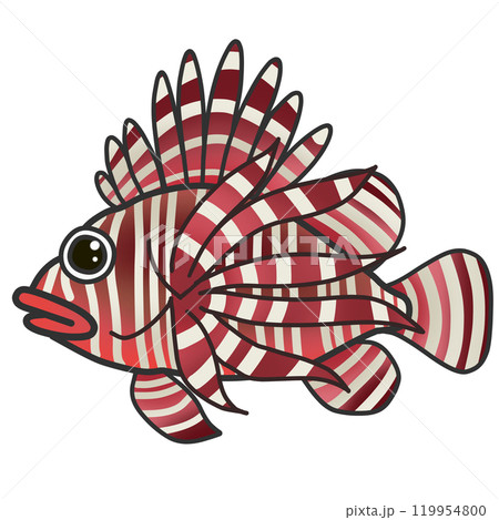 ハナミノカサゴのイラスト素材 - PIXTA
