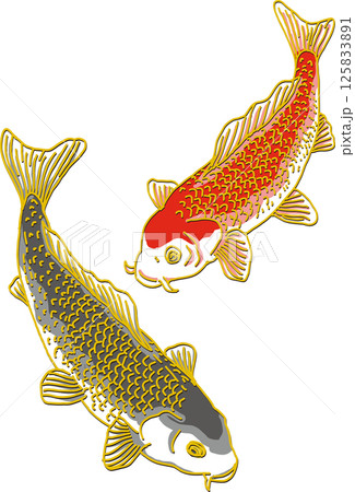 黒鯉のイラスト素材 - PIXTA