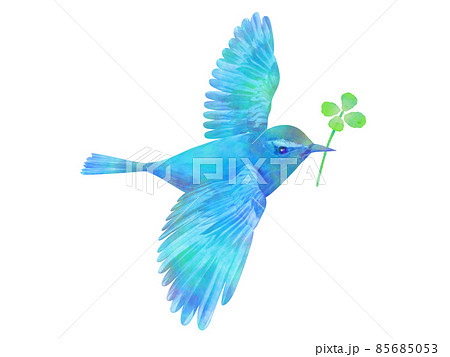 幸運の鳥のイラスト素材 - PIXTA