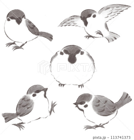 墨絵 水墨画 鳥 小鳥のイラスト素材 - PIXTA