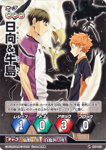 カード名「日向＆牛島」(1 枚)｜ハイキュー！！ バボカ！！