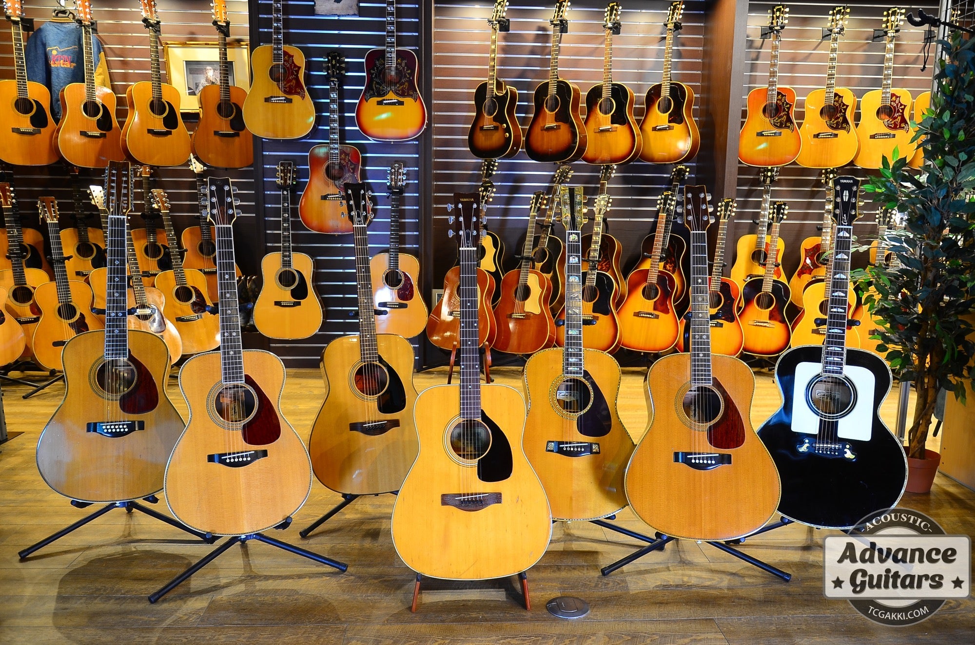 tc-yamaha-834978.jpg?v=