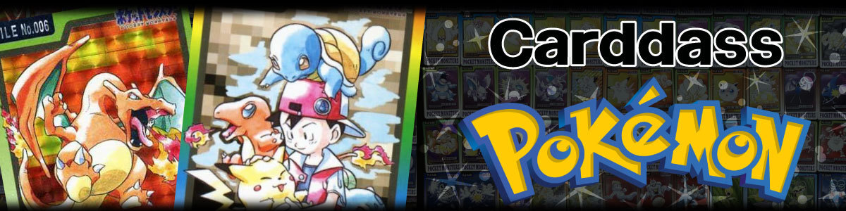 Pokémon CardGame Old Ver./Intro Pack Neo]ヒメグマ LV.11